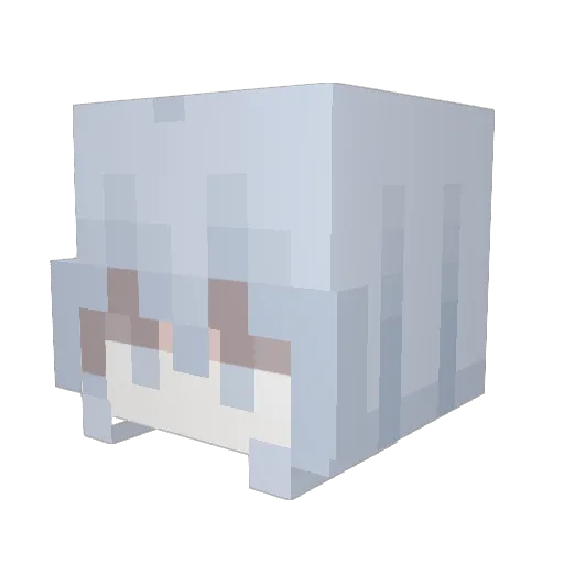 devowt Minecraft avatar head, 3D render