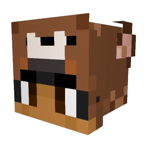 devstruction Minecraft avatar head, 3D render