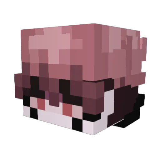 devxial Minecraft avatar head, 3D render