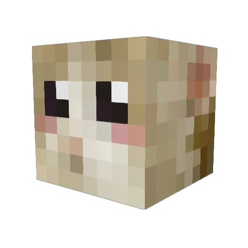 dewwiq Minecraft avatar head, 3D render