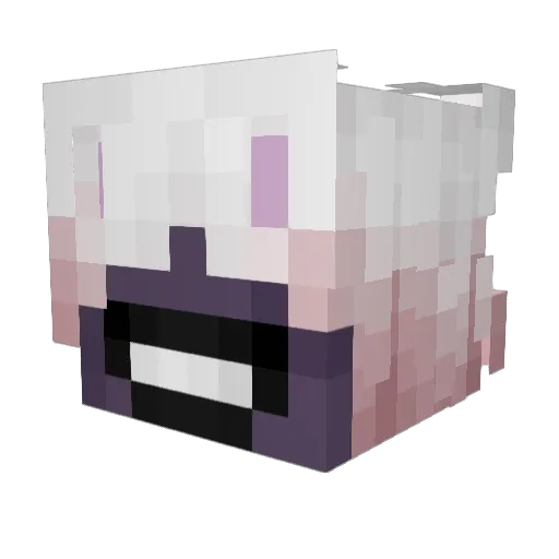 dewydroop Minecraft avatar head, 3D render