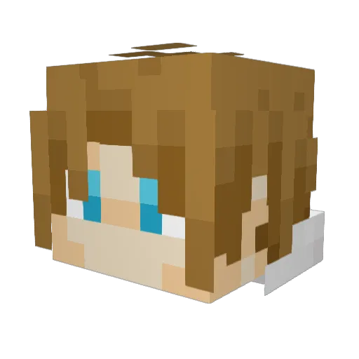 dex707 Minecraft avatar head, 3D render