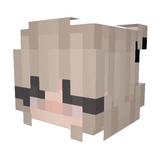 dexo80 Minecraft avatar head, 3D render