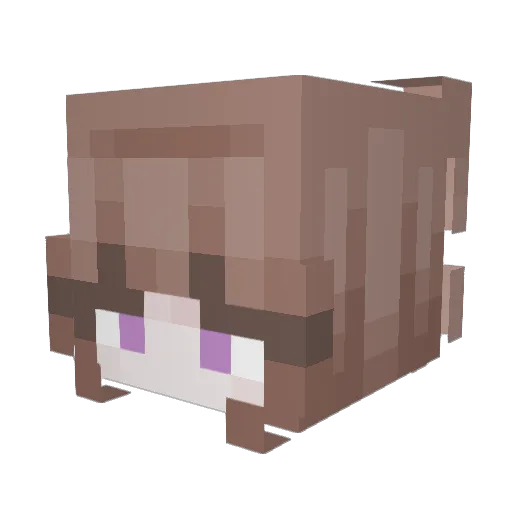 dexrie Minecraft avatar head, 3D render
