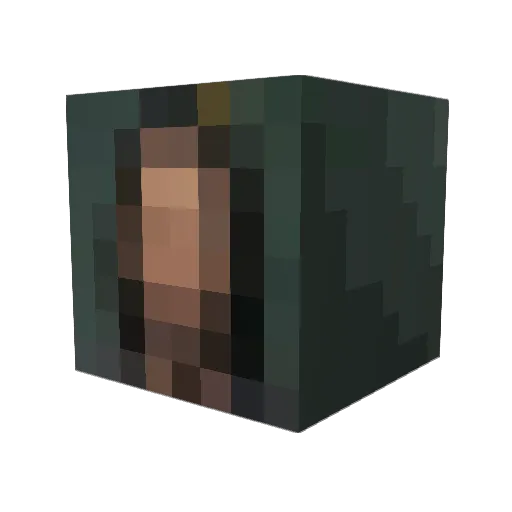 dexter8305 Minecraft avatar head, 3D render