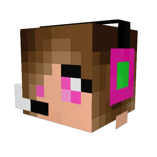 dexterdog101 Minecraft avatar head, 3D render