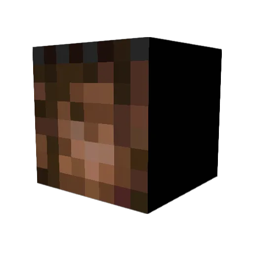 dexxstrument Minecraft avatar head, 3D render