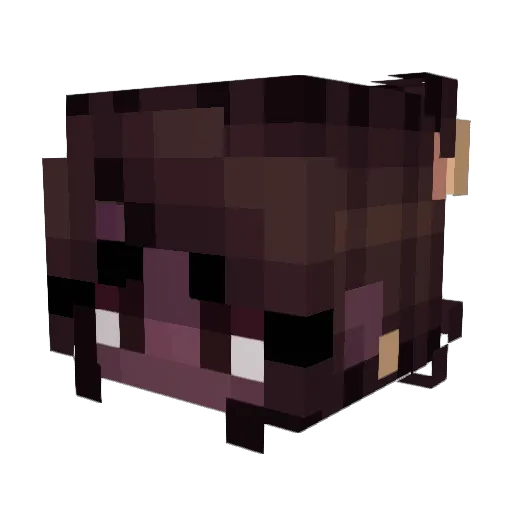 dez_exe Minecraft avatar head, 3D render