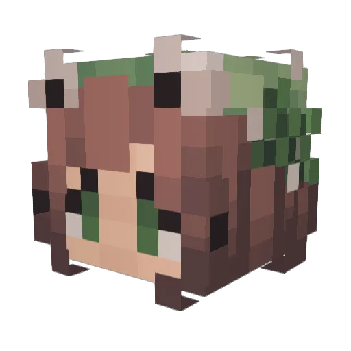 dezi_Bug Minecraft avatar head, 3D render