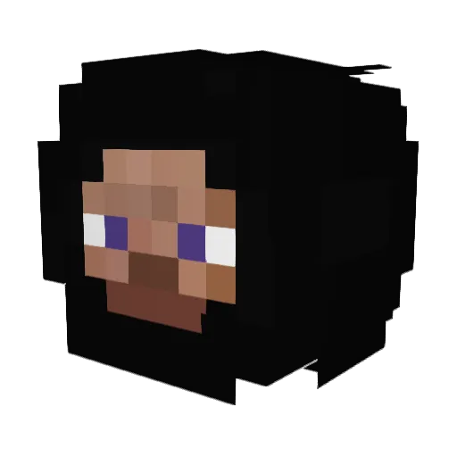 dezynfekator_ Minecraft avatar head, 3D render