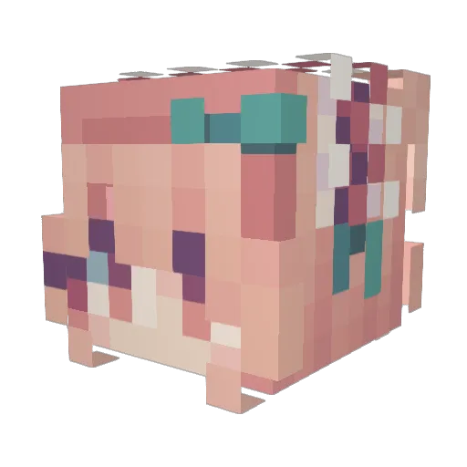 df23ty Minecraft avatar head, 3D render