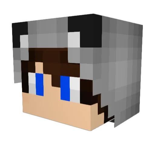 dfRogers Minecraft avatar head, 3D render