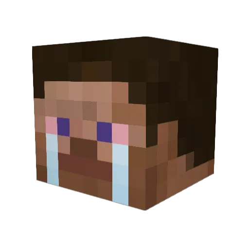 dfdfsdfsdfs Minecraft avatar head, 3D render
