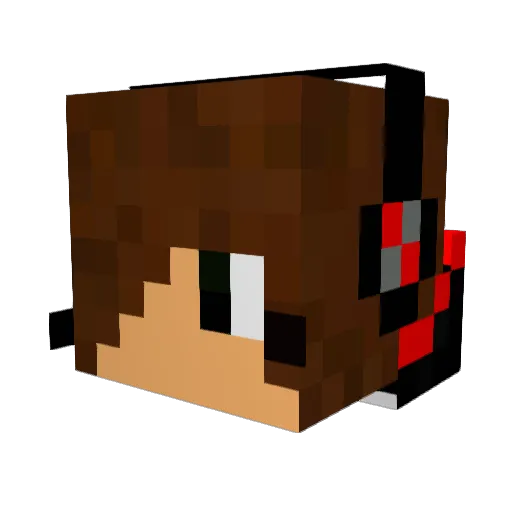 dfeg1234 Minecraft avatar head, 3D render