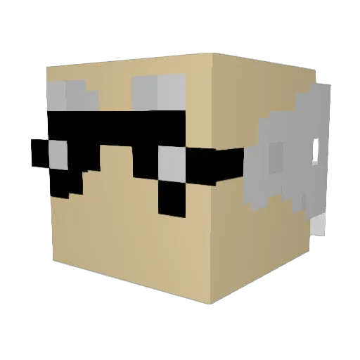 dfence4 Minecraft avatar head, 3D render