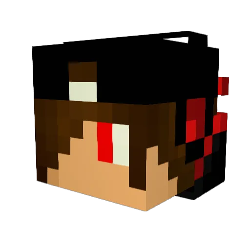dfer4213 Minecraft avatar head, 3D render