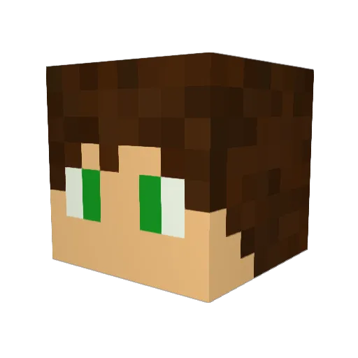 dfergswims Minecraft avatar head, 3D render