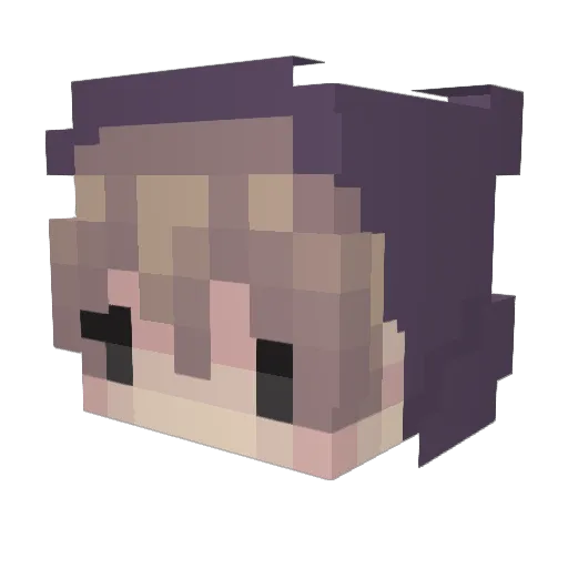 dfkvjdilfuvodo84 Minecraft avatar head, 3D render