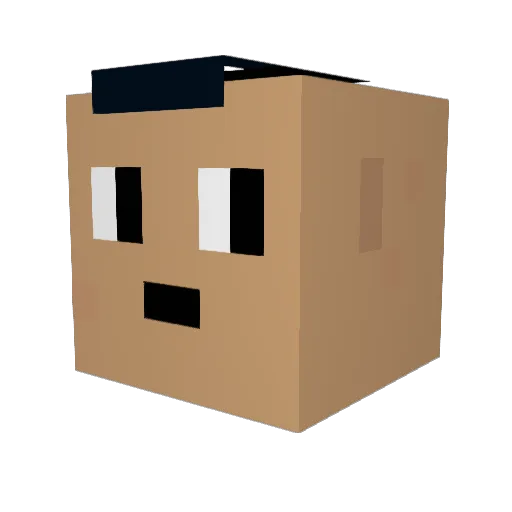 dfuq Minecraft avatar head, 3D render