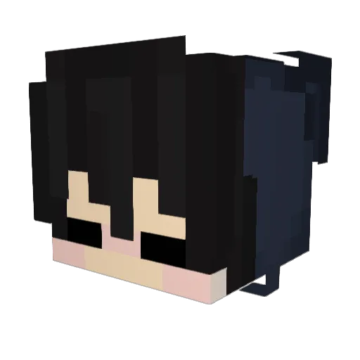 dfwf Minecraft avatar head, 3D render