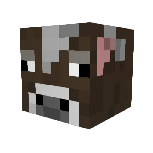 dfy6620 Minecraft avatar head, 3D render
