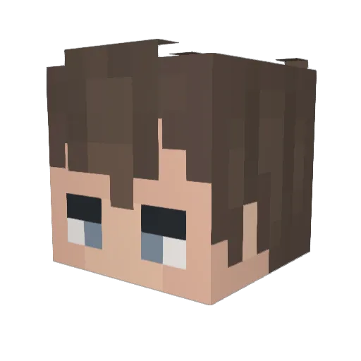 dgarbett Minecraft avatar head, 3D render