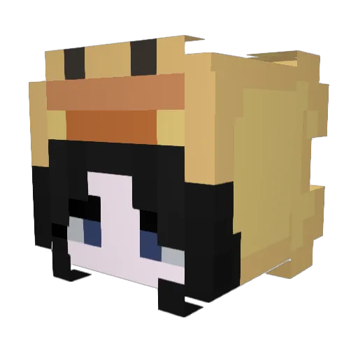 dgdgdgdgdg Minecraft avatar head, 3D render