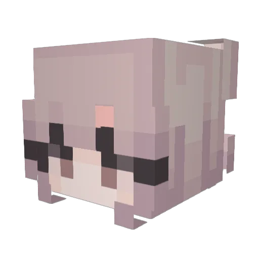 dgjjhfghd12 Minecraft avatar head, 3D render