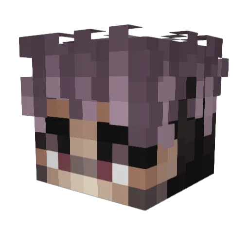 dgoper Minecraft avatar head, 3D render