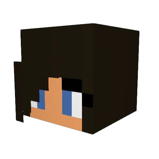 dgshooter129 Minecraft avatar head, 3D render