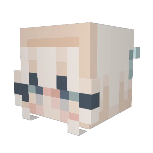 dgubi Minecraft avatar head, 3D render