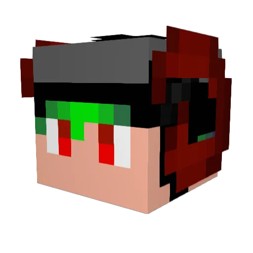 dgvj1 Minecraft avatar head, 3D render