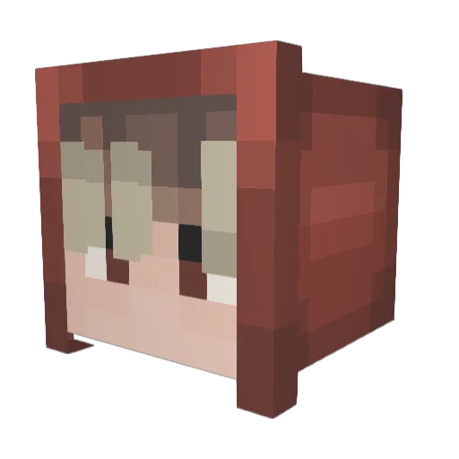 dh253 Minecraft avatar head, 3D render