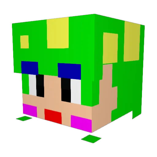 dhdusgh Minecraft avatar head, 3D render