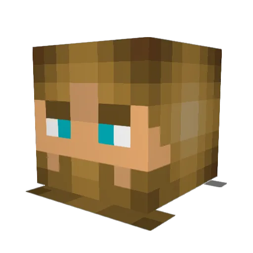 dhedtke24 Minecraft avatar head, 3D render