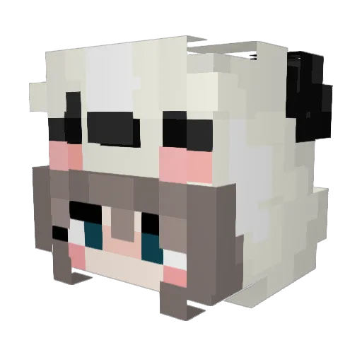 dheilborn Minecraft avatar head, 3D render