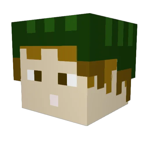 dhewaswdjjd37 Minecraft avatar head, 3D render