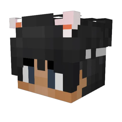 dhrov Minecraft avatar head, 3D render