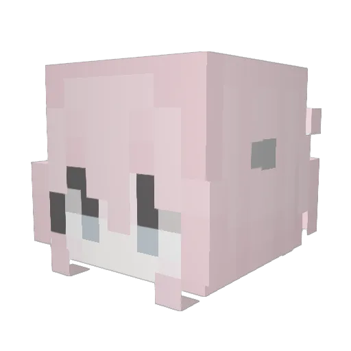 dht25 Minecraft avatar head, 3D render