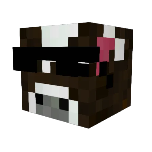dhwuie Minecraft avatar head, 3D render