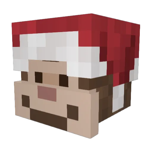 di000genes Minecraft avatar head, 3D render