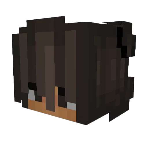 di1anaaaa Minecraft avatar head, 3D render