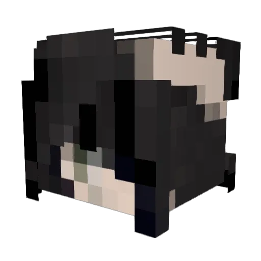 diEnahu Minecraft avatar head, 3D render