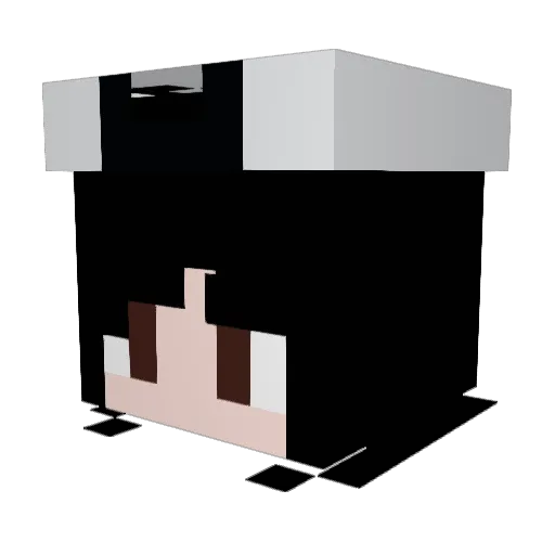 diKarma Minecraft avatar head, 3D render
