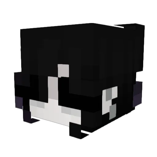 dialibrium Minecraft avatar head, 3D render
