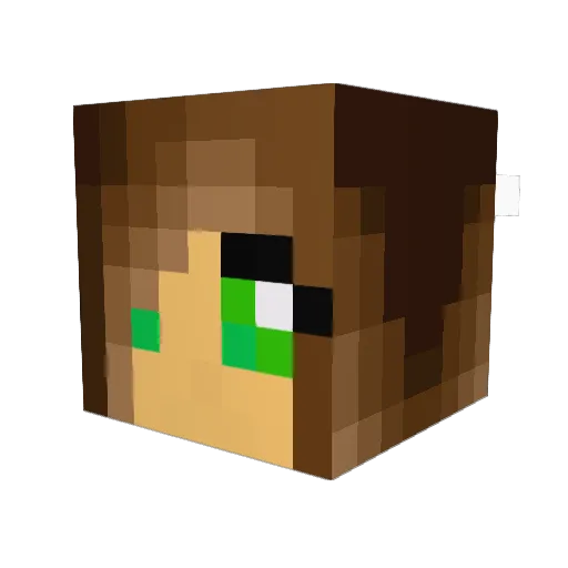 diamond5032 Minecraft avatar head, 3D render