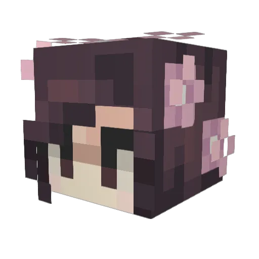 diamondGIRL09 Minecraft avatar head, 3D render