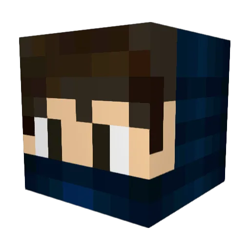 diamondboy345 Minecraft avatar head, 3D render