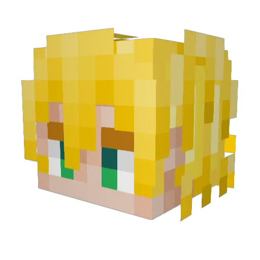 diamondcircuit Minecraft avatar head, 3D render