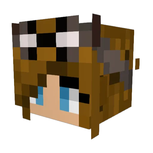 diamondcoralreef Minecraft avatar head, 3D render